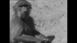 Link to Video | Paul Karl Lieberenz