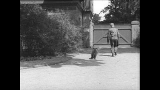 Link to Video | Paul Karl Lieberenz