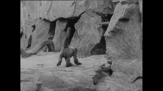 Link to Video | Paul Karl Lieberenz