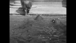 Link zum Video | Paul Lieberenz