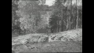 Link to Video | Paul Karl Lieberenz, police officer