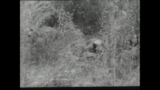 Link to Video | Paul Karl Lieberenz, police officer