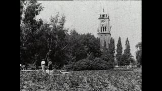 Link to Video | Paul Karl Lieberenz