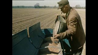 Link to Video | Paul Karl Lieberenz