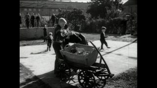 Link to Video | Paul Karl Lieberenz