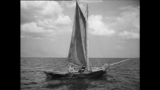 Link to Video | Paul Karl Lieberenz