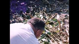 Link to Video | Paul Karl Lieberenz