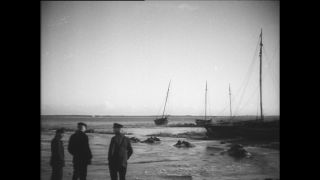 Link to Video | Paul Karl Lieberenz