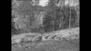 Link to Video | Paul Karl Lieberenz, police officer