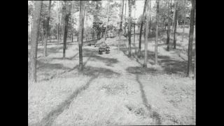 Link to Video | Paul Karl Lieberenz, police officer