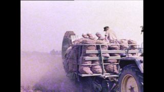 Link to Video | Paul Karl Lieberenz