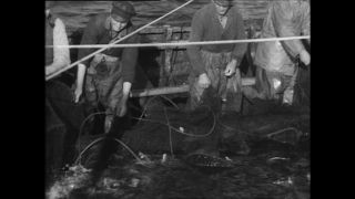 Link to Video | Paul Karl Lieberenz