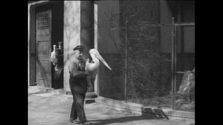 Link zum Video | Paul Lieberenz