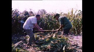 Link to Video | Paul Karl Lieberenz