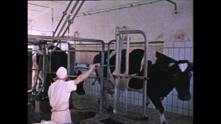 Link to Video | Paul Karl Lieberenz