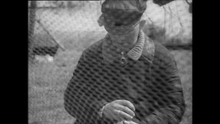 Link zum Video | Paul Lieberenz