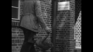 Link to Video | Paul Karl Lieberenz