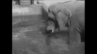 Link zum Video | Paul Lieberenz