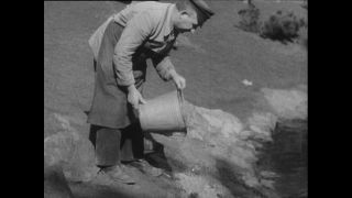 Link zum Video | Paul Lieberenz