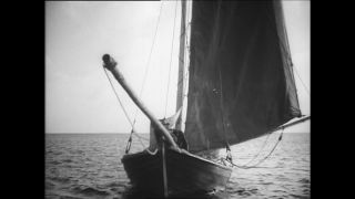 Link to Video | Paul Karl Lieberenz