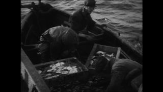 Link to Video | Paul Karl Lieberenz