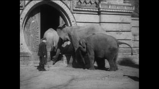 Link to Video | Paul Karl Lieberenz