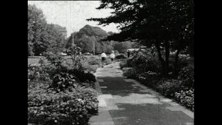 Link to Video | Paul Karl Lieberenz