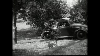 Link to Video | Paul Karl Lieberenz, police officer