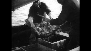 Link to Video | Paul Karl Lieberenz