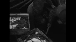 Link zum Video | Paul Lieberenz