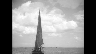 Link to Video | Paul Karl Lieberenz