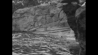 Link zum Video | Paul Lieberenz