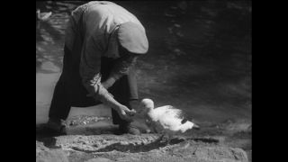 Link to Video | Paul Karl Lieberenz