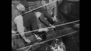 Link to Video | Paul Karl Lieberenz