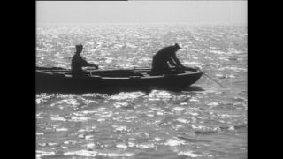 Link to Video | Paul Karl Lieberenz