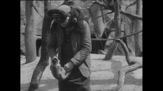 Link to Video | Paul Karl Lieberenz