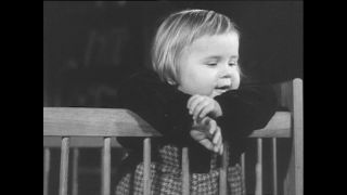 Link to Video | Paul Karl Lieberenz