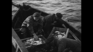 Link zum Video | Paul Lieberenz