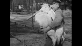 Link zum Video | Paul Lieberenz