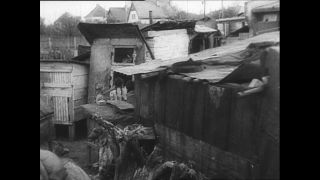 Link to Video | Paul Karl Lieberenz