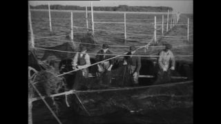 Link to Video | Paul Karl Lieberenz