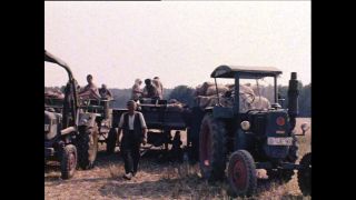 Link to Video | Paul Karl Lieberenz