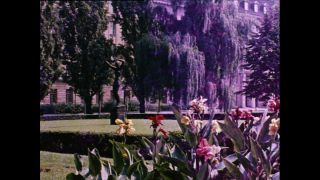 Link to Video | Paul Karl Lieberenz