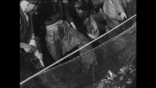 Link to Video | Paul Karl Lieberenz