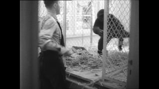 Link zum Video | Paul Lieberenz