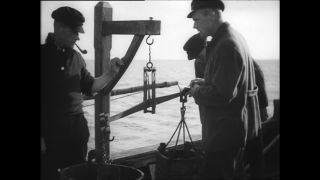 Link to Video | Paul Karl Lieberenz