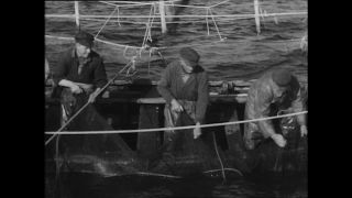 Link to Video | Paul Karl Lieberenz