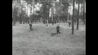 Link to Video | Paul Karl Lieberenz, police officer