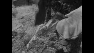 Link to Video | Paul Karl Lieberenz