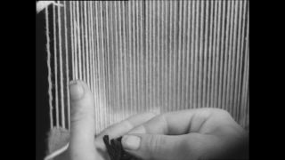 Link to Video | Paul Karl Lieberenz